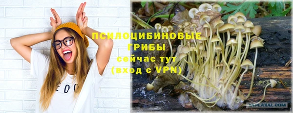 тгк Михайловка