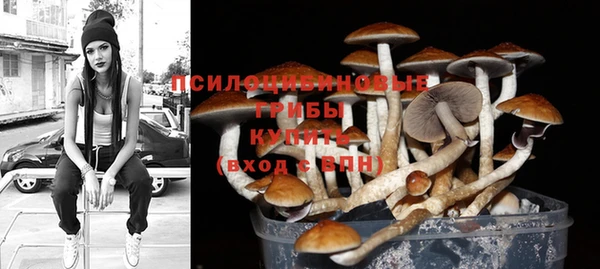 альфа пвп Михайловск